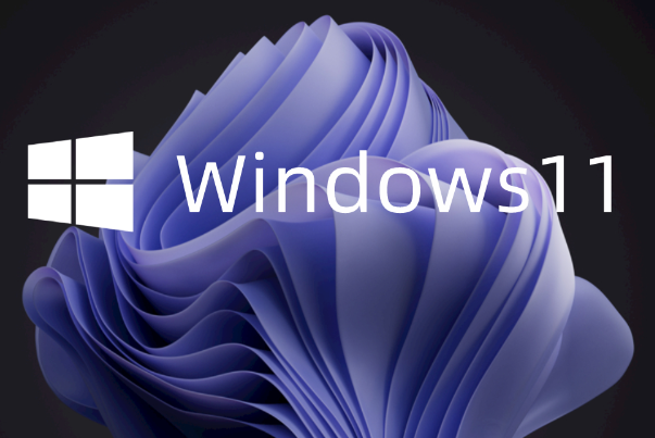 Windows 11系统.png